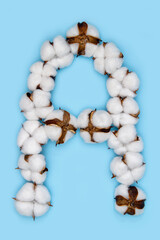 Letter A made of cotton flowers and isolated on solid blue background. Floral alphabet concept. One letter of the set of cotton font easy to stacking.