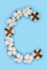 Letter C made of cotton flowers and isolated on solid blue background. Floral alphabet concept. One letter of the set of cotton font easy to stacking.