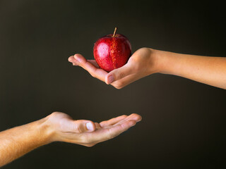 Gifts from The Garden of Eden. Cropped studio shot of a woman offering a man a red apple against a dark background. - obrazy, fototapety, plakaty