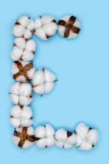 Letter E made of cotton flowers and isolated on solid blue background. Floral alphabet concept. One letter of the set of cotton font easy to stacking.