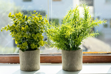 Fototapeta na wymiar Two artificial plants on a window sill