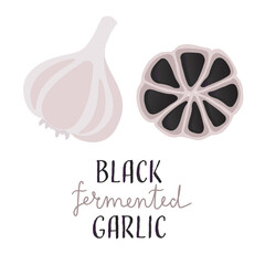 Black garlic fermented. Aged fermented garlic with lettering. Healthy flavor ingredient. Flat vector illustration