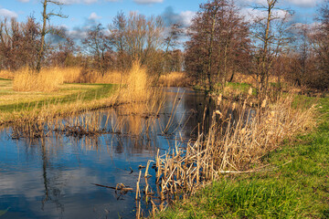 Narrow creek in a Dutch nature reserve in the province of North Brabant. Spring has just begun and...