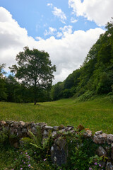A mountain with lush vegetation under a cloudy sky