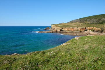 Naklejka na ściany i meble Cliffs surrounded by green vegetation under a blue sky.