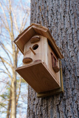 Homemade birdhouse on a tree in early spring