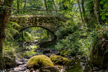 Vieux pont romain recouvert de mousses vertes surplombant une belle rivière sur le chemin de...
