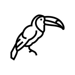 toucan exotic bird line icon vector. toucan exotic bird sign. isolated contour symbol black illustration