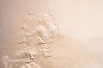 Brown wall damp damaged with peeling paint