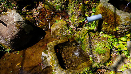大分県日田市の温所湧水