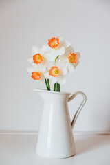 Beautiful bouquet of fresh white and orange daffodil flowers in full bloom in vase against white background. Copy space for text. Spring blossoms. Still life with bunch of narcissuses.