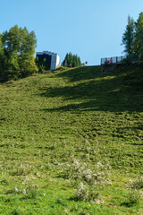 Mausefalle auf der Streif in Kitzbühel im Sommer, Tirol, Österreich im Sommer