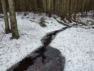 Narrow stream in a spring forest, surrounded with snow.