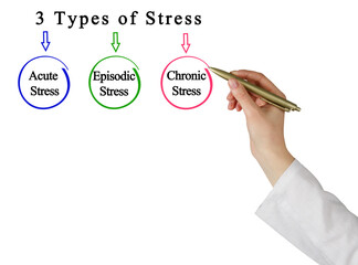 Three Types of Stress