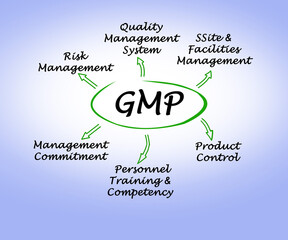 Fototapeta premium Components of good manufacturing practice (GMP)