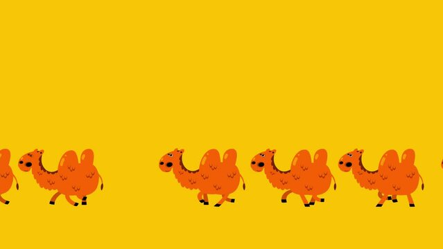Cartoon bactrian camels walking caravan isoated. Children seamless looping animation with alpha channel. 
