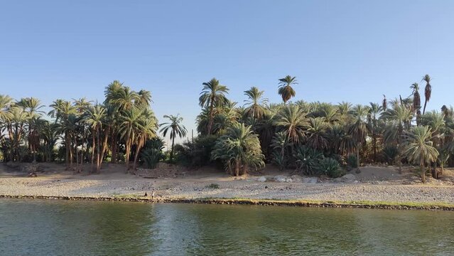 Landscape on the banks of the Nile