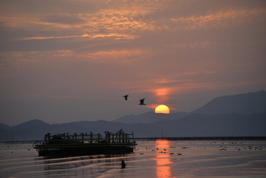 suncheon bay