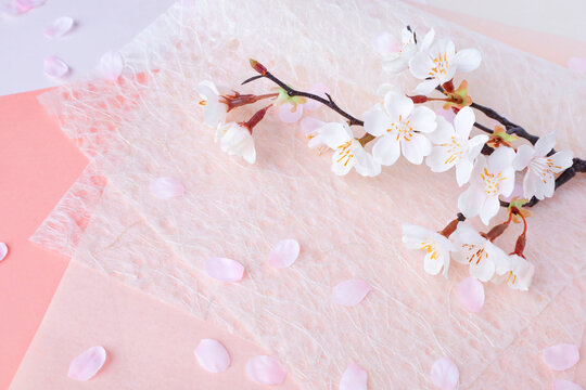 桜と和紙の背景　柔らかなイメージ