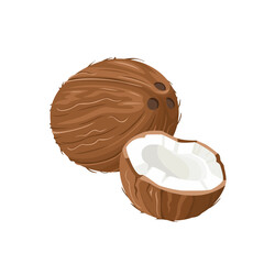 Coconut vector icon. Whole coconut and half isolated on white. Cartoon flat illustration.