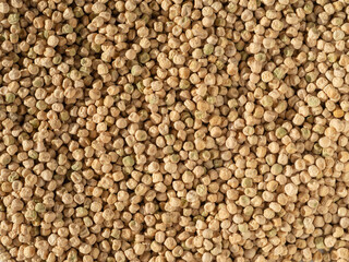 Background of peas in close-up.  Chickpea background. Food-grade organic Texture- ivory color. Lots of delicious and nutritious dried peas. He was lying flat