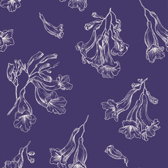 Floral seamless pattern vector outline style branch of jacaranda flowers. Beige elements on violet background. Hand drawn illustration for design packaging, textile, wallpaper, fabric