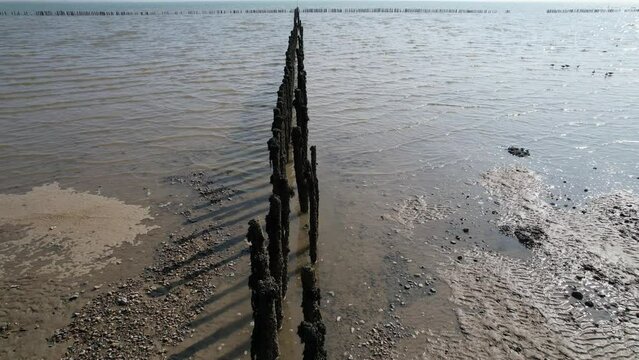 Row of posts stick out of mud on River blackwater Essex UK view from drone