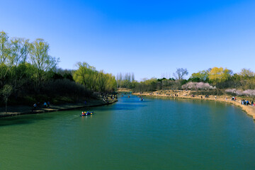 Fototapeta premium China Beijing Olympic Forest Park Spring View with flowers bloom