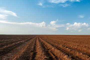plowed field and blue sky in sunset