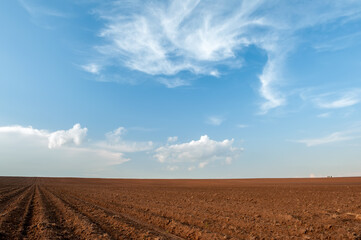 plowed field and blue sky in sunset