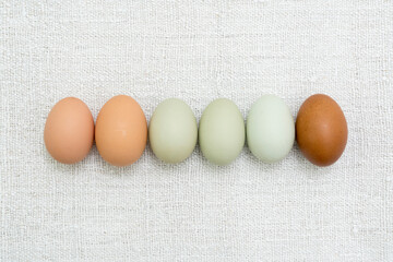 Rohe Eier von bunt legenden Hühnern, grün und braun, in einer Reihe auf grobem Leinen