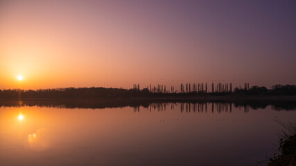 Besuch der Wildgänse am Morgen