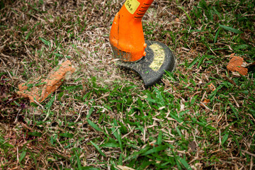 lawn mowe is Gardening care tools and equipment. Process of lawn trimming with hand mower