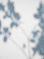 Shadow plant leaf textured minimalism backdrop cemment  background for mock up