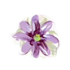 Abstract flower illustration  isolated on white background 