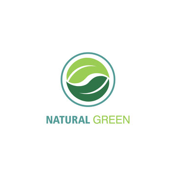 leaf nature logo illustration green circle vector design