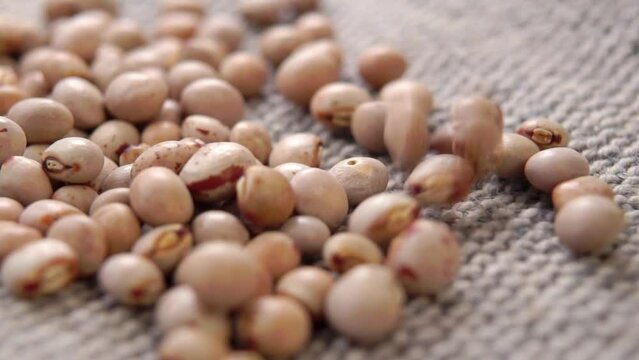 Dried pigeon peas falling on a sackcloth surface in slow motion. Macro. Dry uncooked legumes