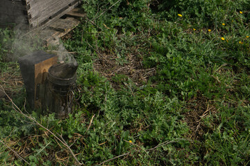 Fototapeta premium Metal smoker, with manual bellows, on the grass next to the hive box.