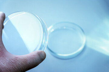 Empty glass plate petri.Petri dish for biological research.Isolated on blue background. Laboratory tests and research. Chemistry science or medical biology experiment.Growing colonies in a petri dish