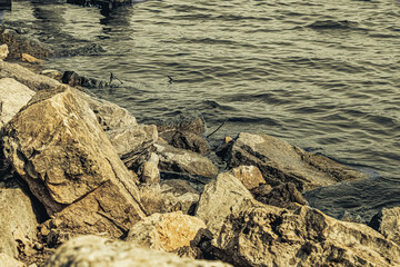 Rocks on the boat landing