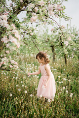 Fototapeta na wymiar Little girl wearing light pink dress among blooming apple trees, white flowers in hair. Living in harmony with nature concept