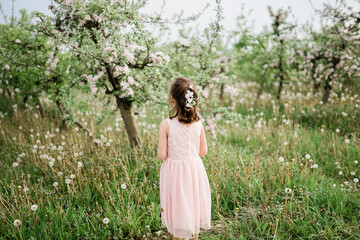 Little girl wearing light pink dress among blooming apple trees, white flowers in hair, french plait hairstyle. Living in harmony with nature concept