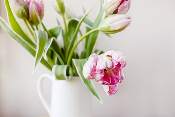 Pink tulip flower bouquet with green fresh stems in a white porcelain jar vase on a white window frame with blue sky background. Vibrant colourful botany floral home decor idea.
