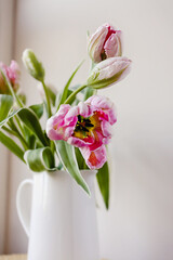Pink tulip flower bouquet with green fresh stems in a white porcelain jar vase on a white wall background. Vibrant colourful botany floral home decor idea.