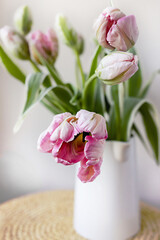 Pink tulip flower bouquet with green fresh stems in a white porcelain jar vase on a white wall background. Vibrant colourful botany floral home decor idea.