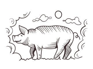 Pig animal walking concept. Design graphic element illustration
