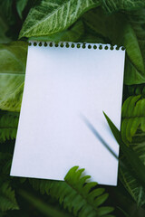 White paper on green leaves to leave message, Vertical Horizontal