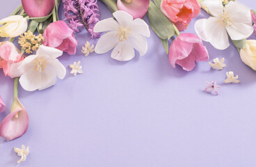 multicolored spring flowers on  purple background