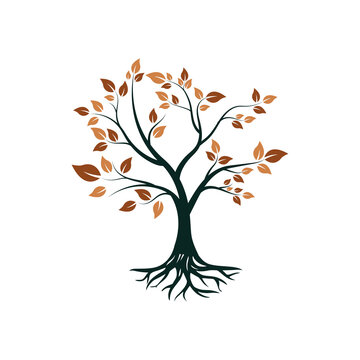 Tree and roots logo design vector