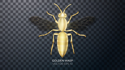 3d golden wasp with highlights and reflections. Golden jewelry
